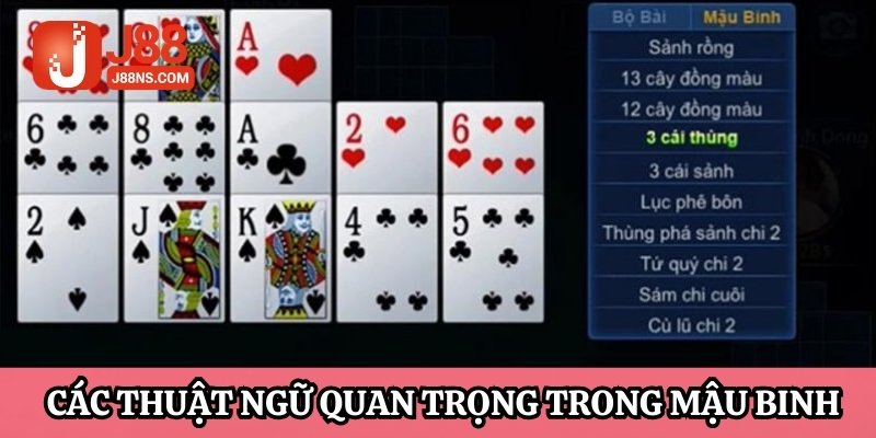 Cách chơi Mậu Binh diễn giải dễ hiểu cho tân binh